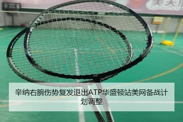 辛纳右腕伤势复发退出ATP华盛顿站美网备战计划调整